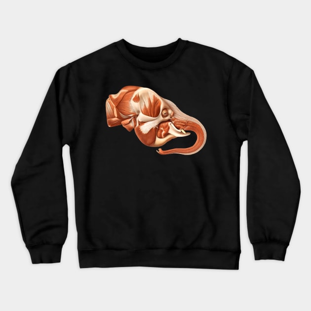 Elephant head after removal of the Superficial muscles Crewneck Sweatshirt by chimakingthings